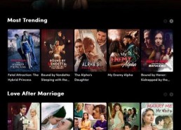 国产最新在线,在线领域创新力作盘点